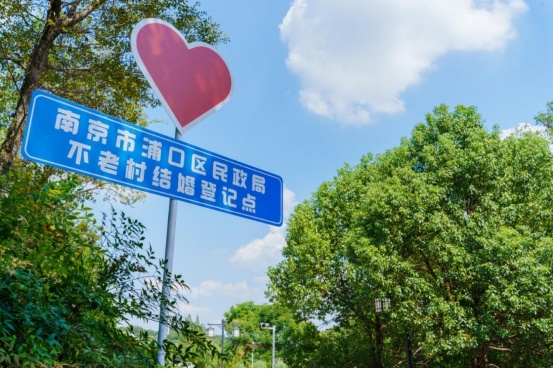 恭喜！今天我们结婚了！