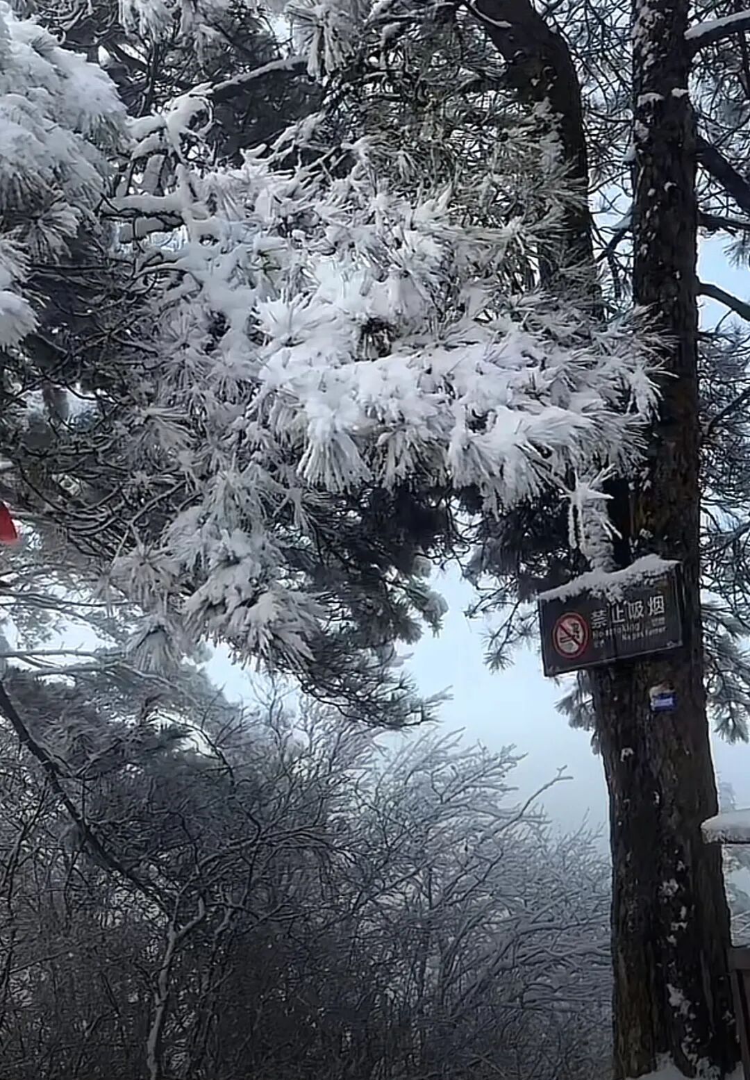 湖南又一地下雪了！长沙接下来的天气……