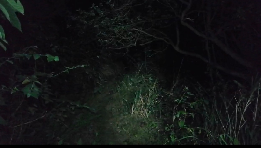 跨年夜紧急救援！厦门小坪山突发，无人机出动……