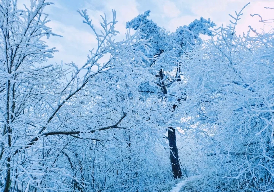 江西多地下雪了！