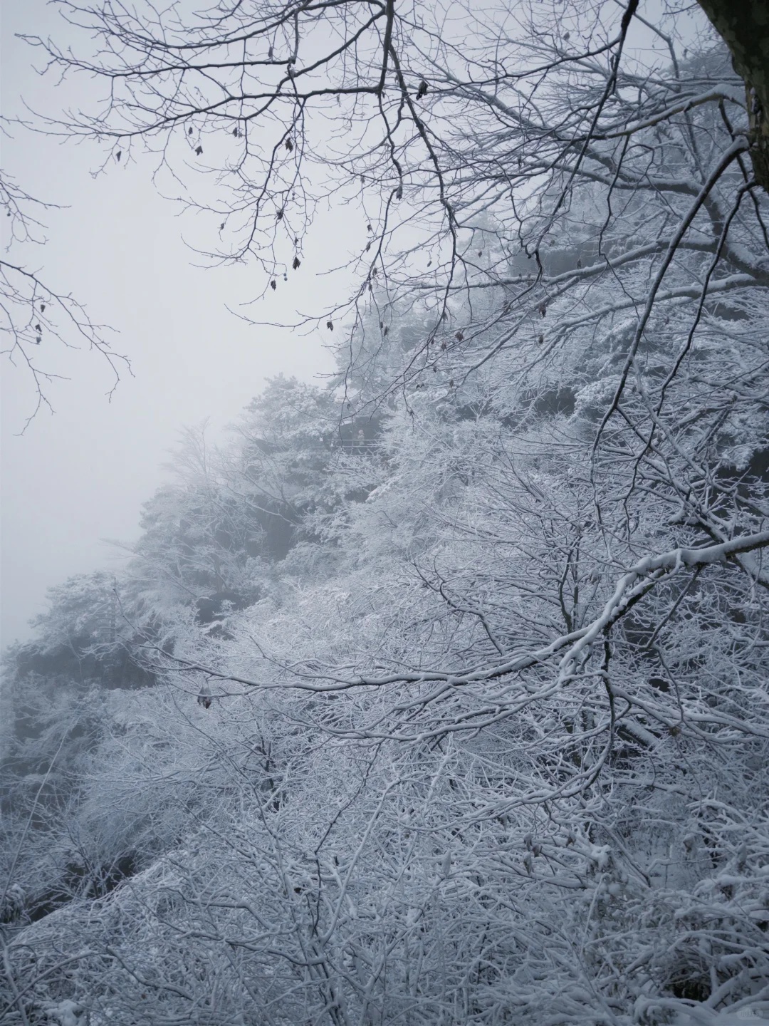 江西多地下雪了！