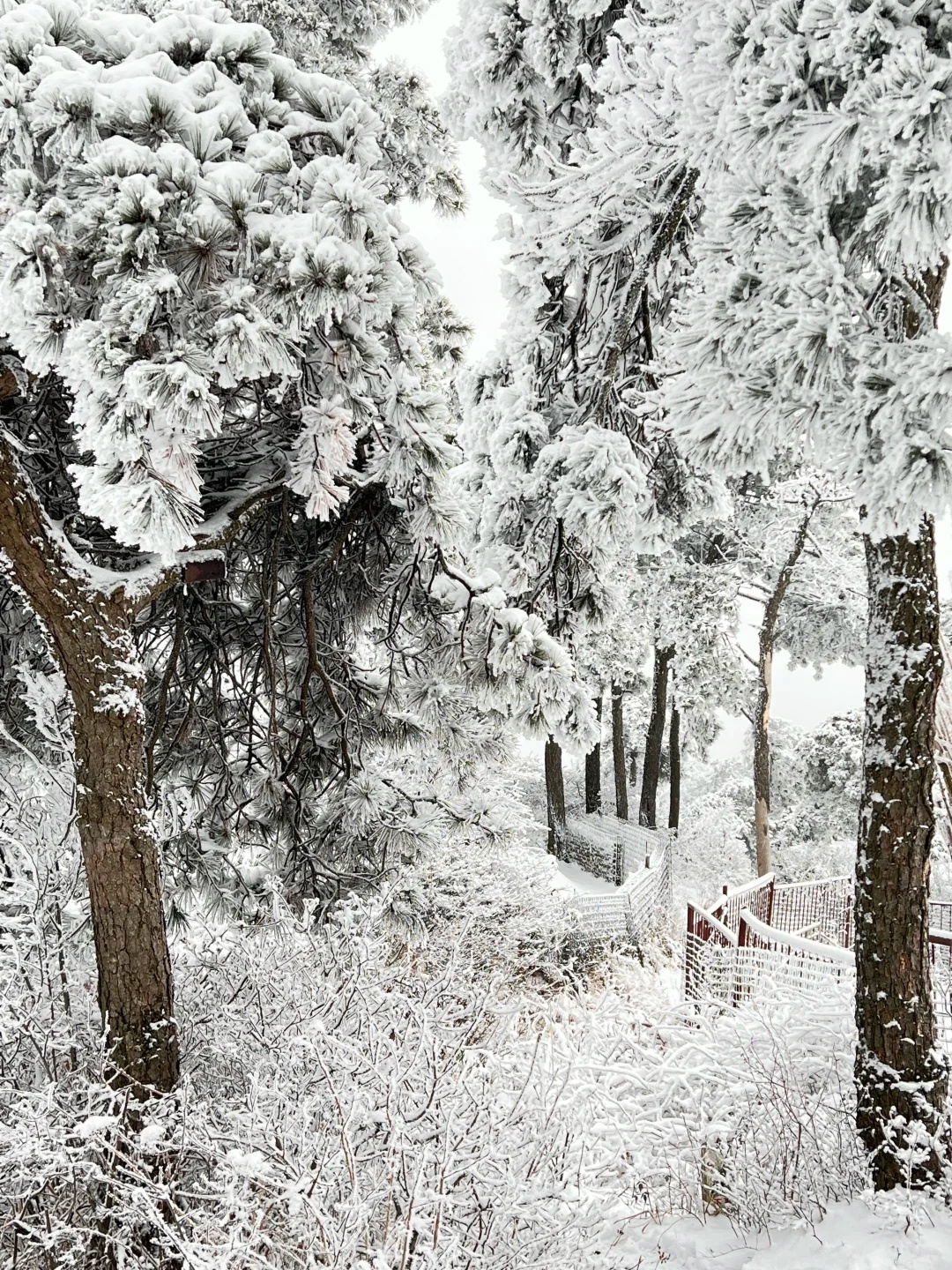江西多地下雪了！