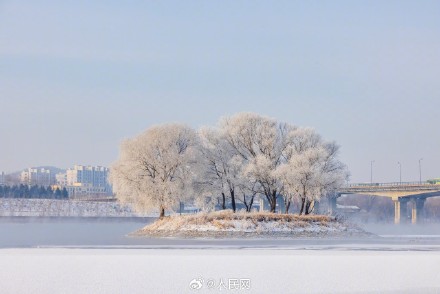 吉林绝美雾凇美成了童话世界