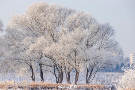 吉林绝美雾凇美成了童话世界
