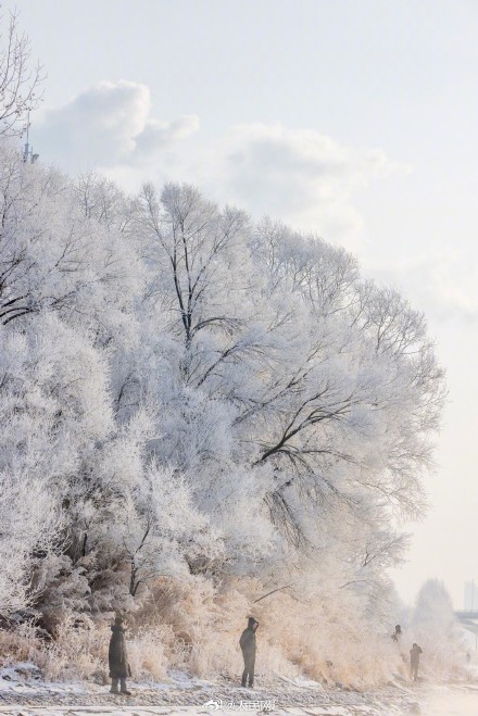 吉林绝美雾凇美成了童话世界