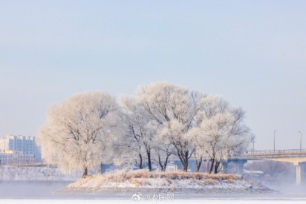 吉林绝美雾凇美成了童话世界