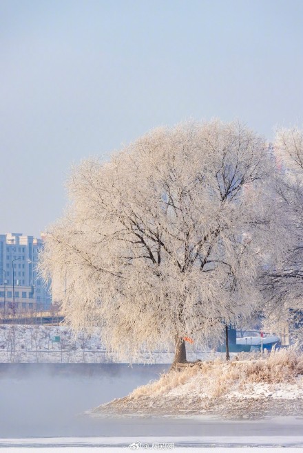 吉林绝美雾凇美成了童话世界