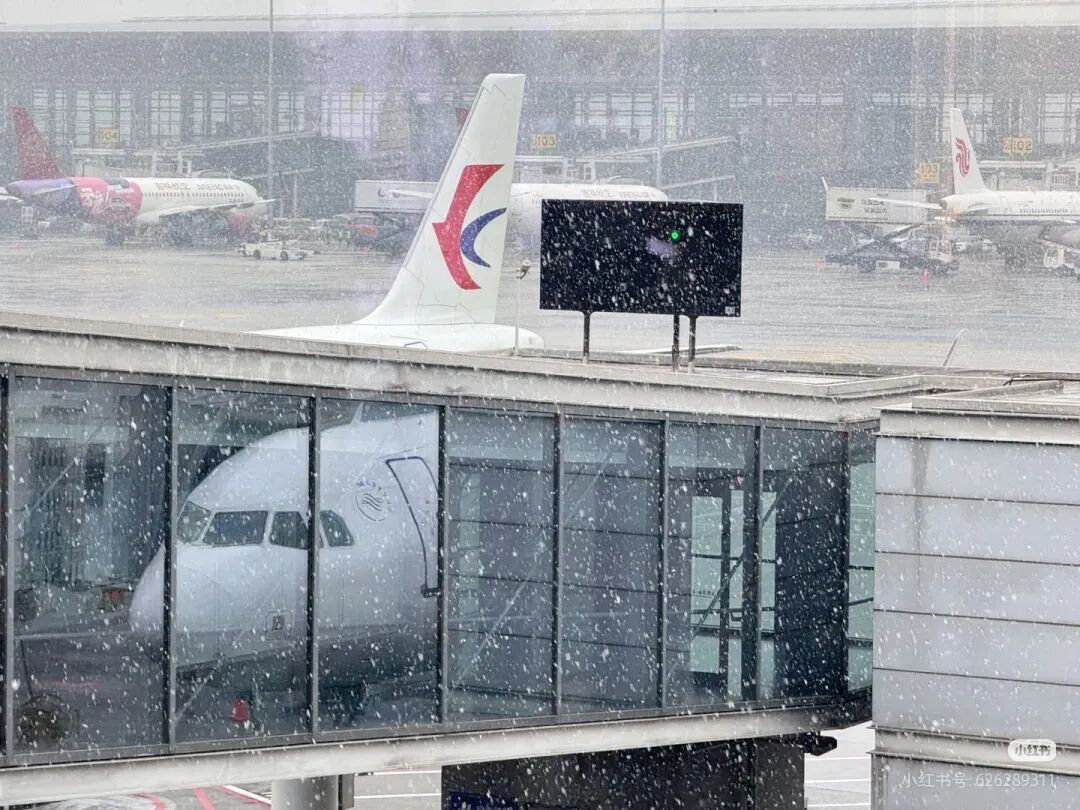 此时此刻，南京又下雪了！