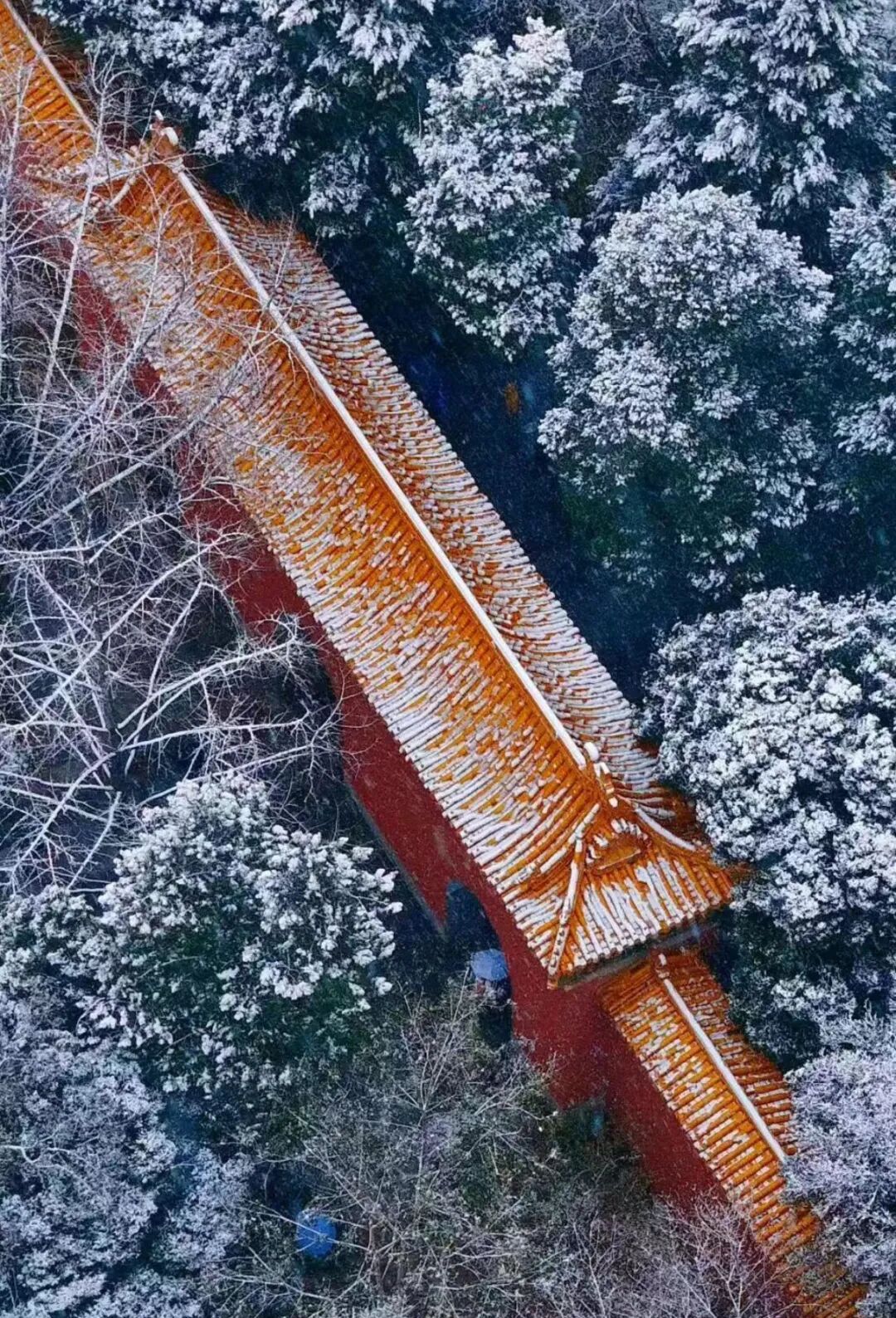 此时此刻，南京又下雪了！