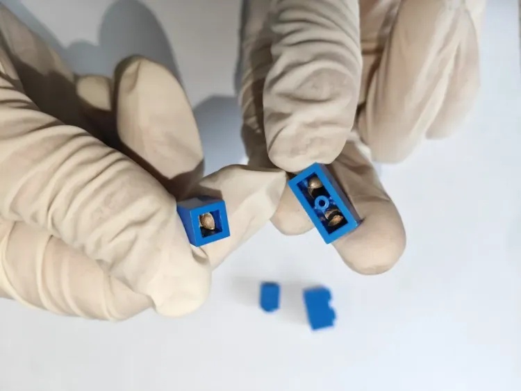 7粒大麻种子,藏在拼好的乐高里!杭州海关查获“积木夹心”走私案 7粒大麻种子,藏在拼好的乐高里!杭州海关查获“积木夹心”走私案