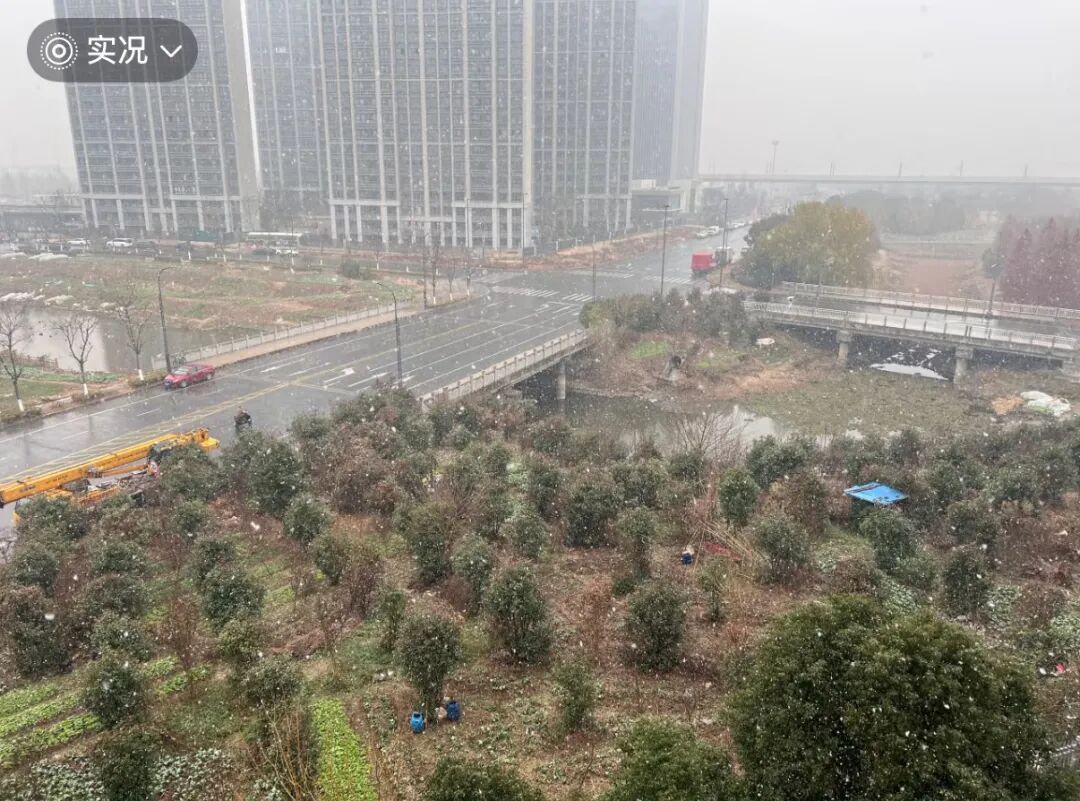 此时此刻，南京又下雪了！