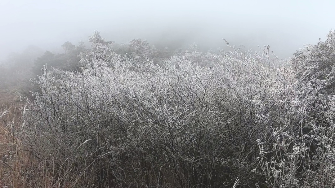 广东现雾凇、冰挂奇观……新一轮冷空气在路上 广东现雾凇、冰挂奇观……新一轮冷空气在路上