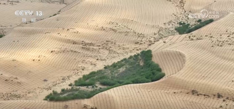 “十四五”我国林草种苗工作取得新进展 “三北”工程完成建设任务超2亿亩 “十四五”我国林草种苗工作取得新进展 “三北”工程完成建设任务超2亿亩