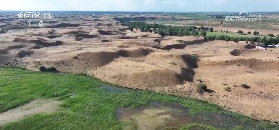 “十四五”我国林草种苗工作取得新进展 “三北”工程完成建设任务超2亿亩 “十四五”我国林草种苗工作取得新进展 “三北”工程完成建设任务超2亿亩