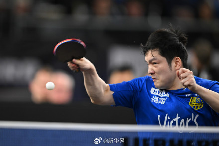 点赞樊振东获留洋生涯首冠