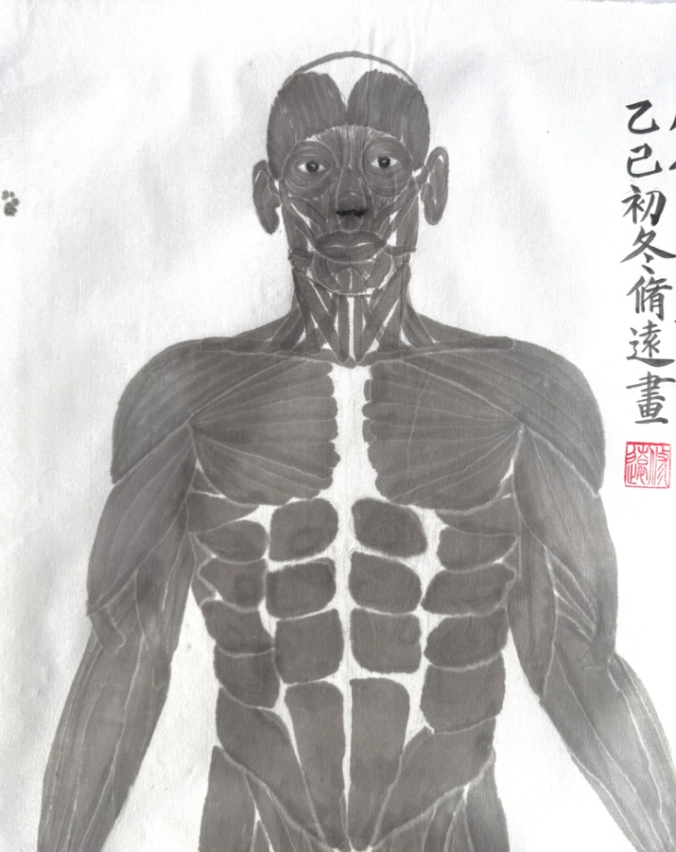 学医和学画的都惊呆了!医生手绘X光片“走红” 学医和学画的都惊呆了!医生手绘X光片“走红”