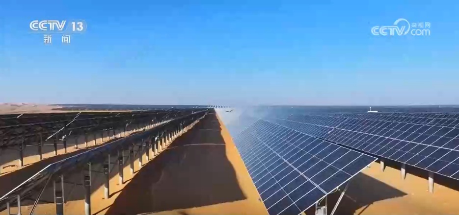 “十四五”我国林草种苗工作取得新进展 “三北”工程完成建设任务超2亿亩 “十四五”我国林草种苗工作取得新进展 “三北”工程完成建设任务超2亿亩