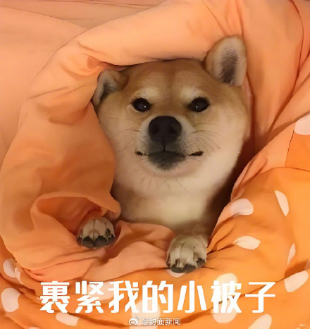 冷冷冷!未来10天有三股冷空气 冷冷冷!未来10天有三股冷空气