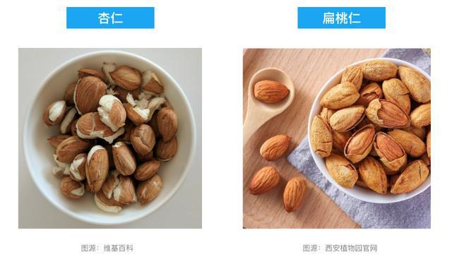 这种长期被低估的坚果,真的值得搬上餐桌!每天一小把,好处比你想得多 这种长期被低估的坚果,真的值得搬上餐桌!每天一小把,好处比你想得多