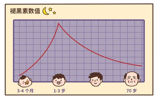 晚上11点后不睡会干扰褪黑素分泌，影响睡眠节律