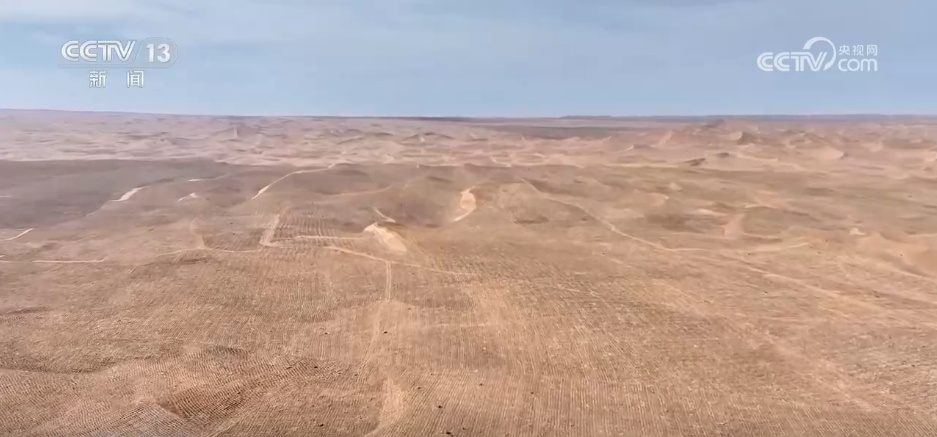 “十四五”我国林草种苗工作取得新进展 “三北”工程完成建设任务超2亿亩 “十四五”我国林草种苗工作取得新进展 “三北”工程完成建设任务超2亿亩