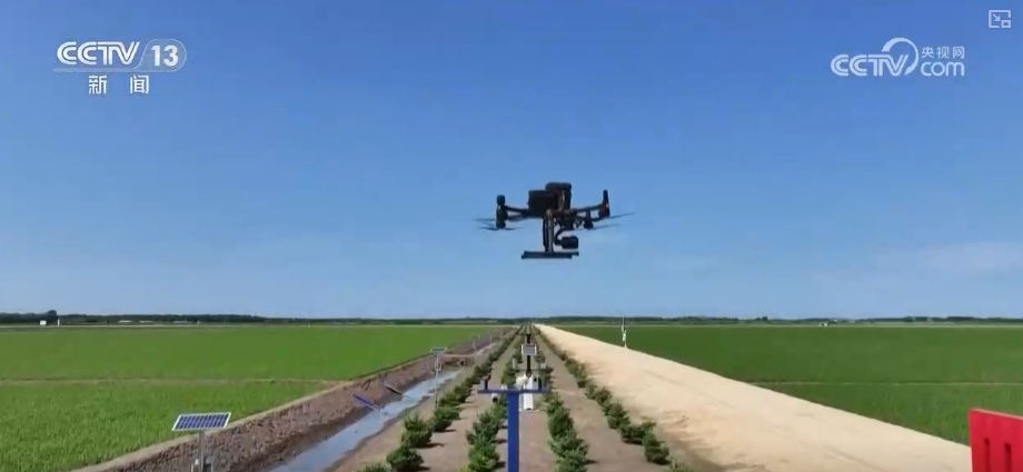 我国科学施肥水平提升 肥水管理向精准化、绿色化、专业化全面升级