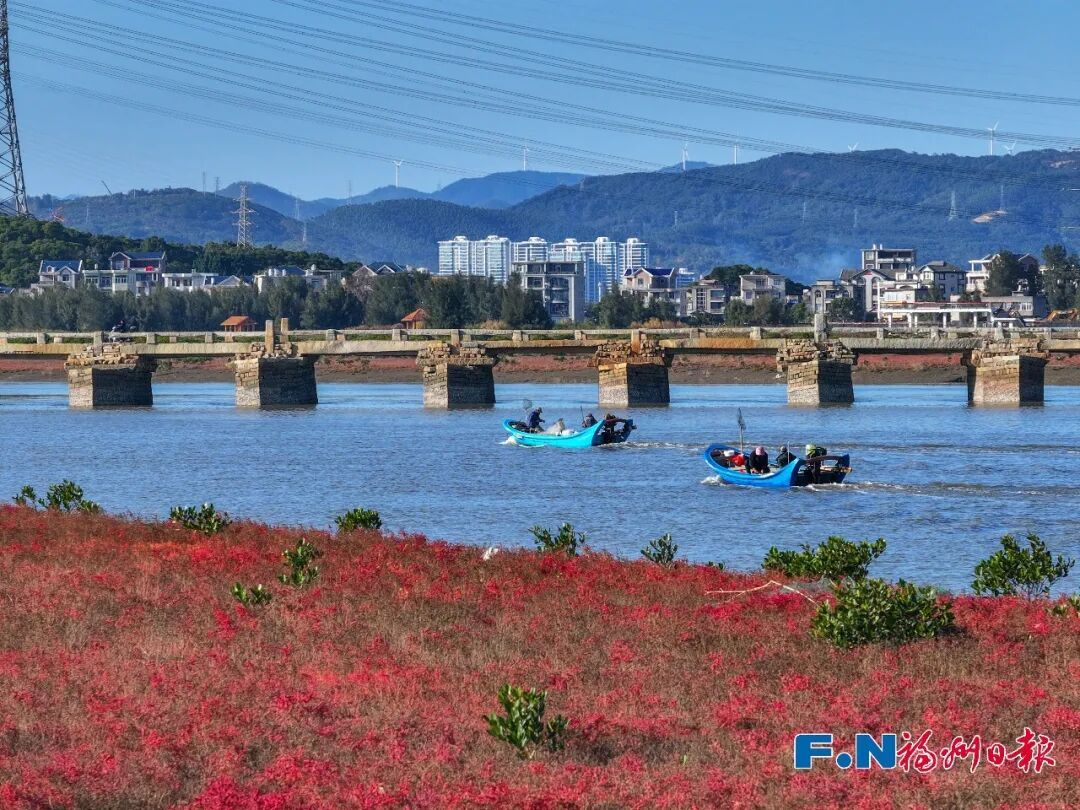 来打卡！福州惊现“红海”奇观→