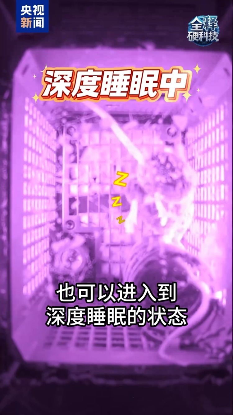 零重力起居 没有睡袋的小鼠航天员这样睡觉→ 零重力起居 没有睡袋的小鼠航天员这样睡觉→