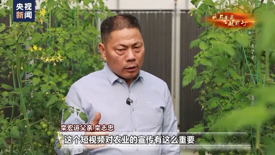 种菜吗？这不就是梦想中的“开心农场”？