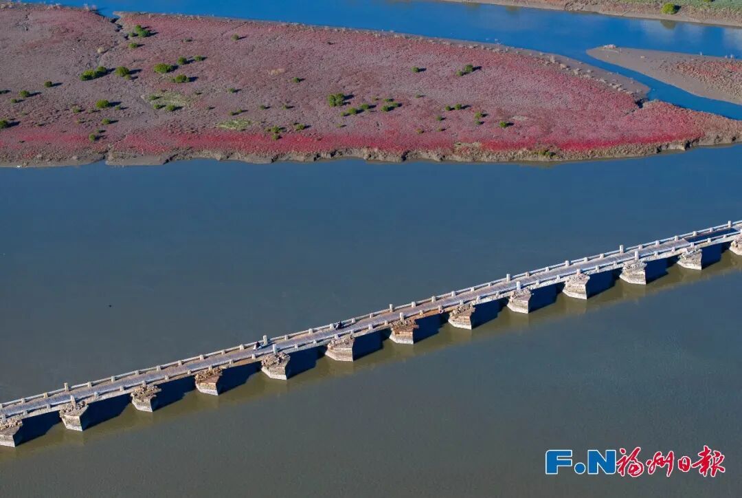 来打卡！福州惊现“红海”奇观→