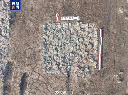 天津十四仓遗址考古取得新发现