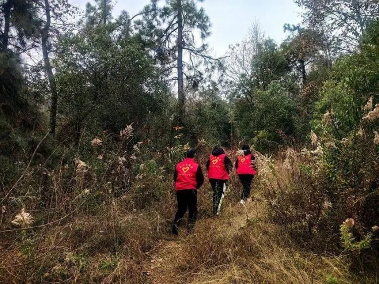 失联两天两夜!警民百人接力,深山寻回走失女子 失联两天两夜!警民百人接力,深山寻回走失女子