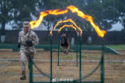 直击武警官兵练兵现场 直击武警官兵练兵现场