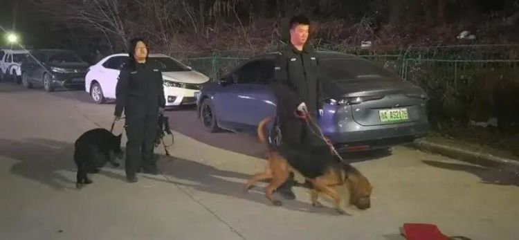 失联两天两夜!警民百人接力,深山寻回走失女子 失联两天两夜!警民百人接力,深山寻回走失女子