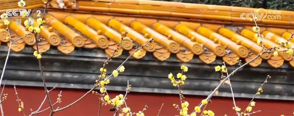 “文化游”“赏花游”“错峰游”解锁“冬日经济”新活力 文旅市场消费潜能持续释放