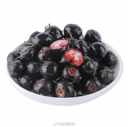 当心过敏!这种水果形似蓝莓需谨慎尝试 当心过敏!这种水果形似蓝莓需谨慎尝试