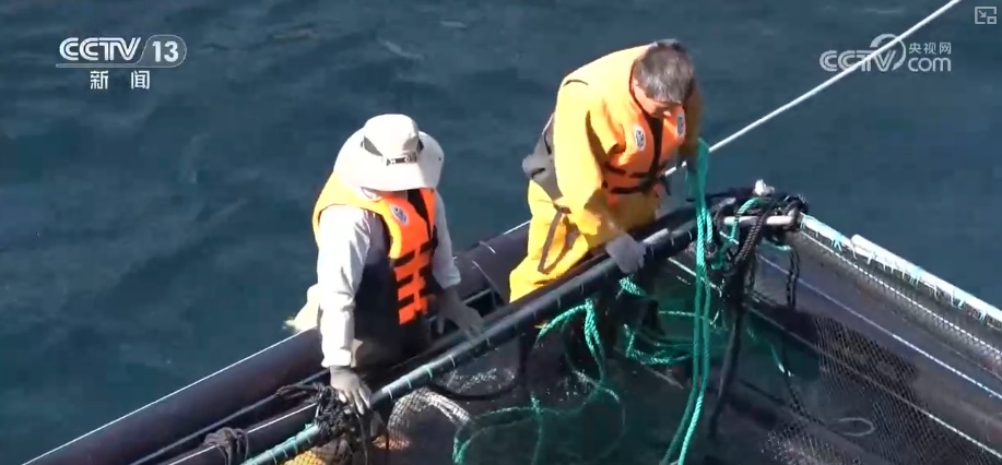 “智慧化养殖+保姆式服务”加速丰盈“蓝色粮仓” 海洋经济释放强劲动能