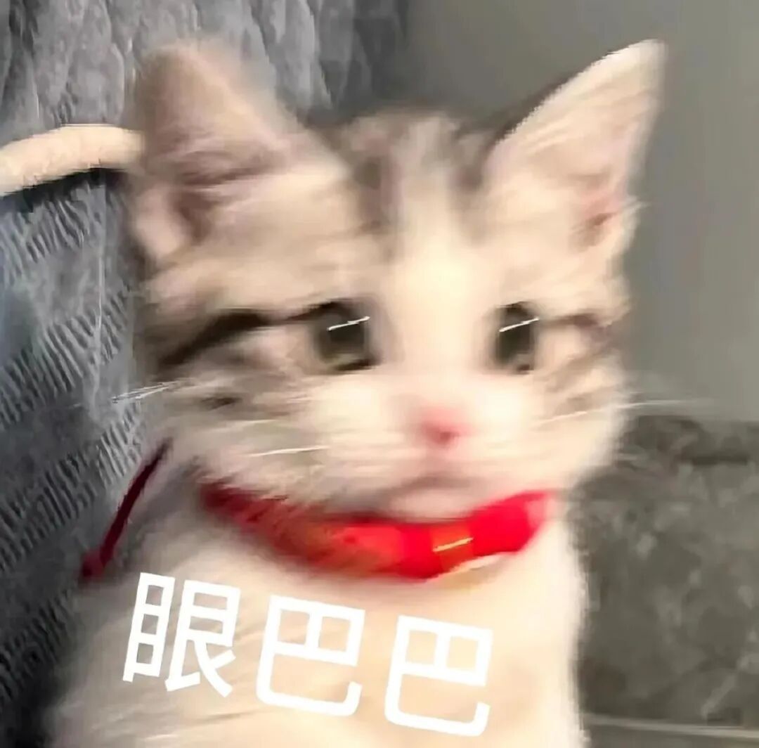 这饺子还是太超前了……“不好意思，从哪里开始是饺子？”