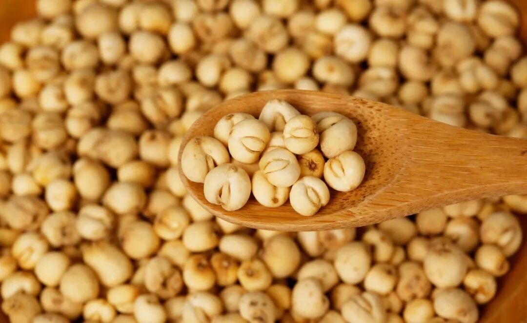 可以吃的“肺部加湿器”！燥热没了，津液足了，老“痰根”也清了！