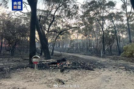 澳大利一州因山火进入灾难状态
