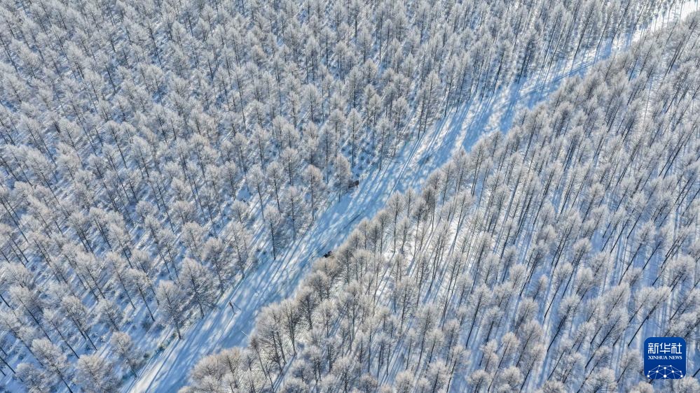 冬日塞罕坝 风景美如画