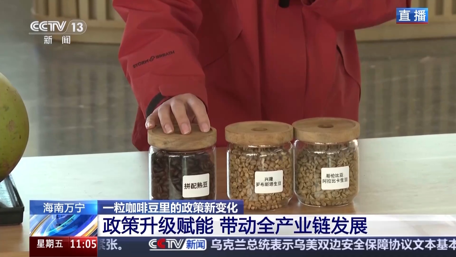 “十五五”开好局 起好步丨“咖啡+”文化体验地 从一粒咖啡豆看政策新变化