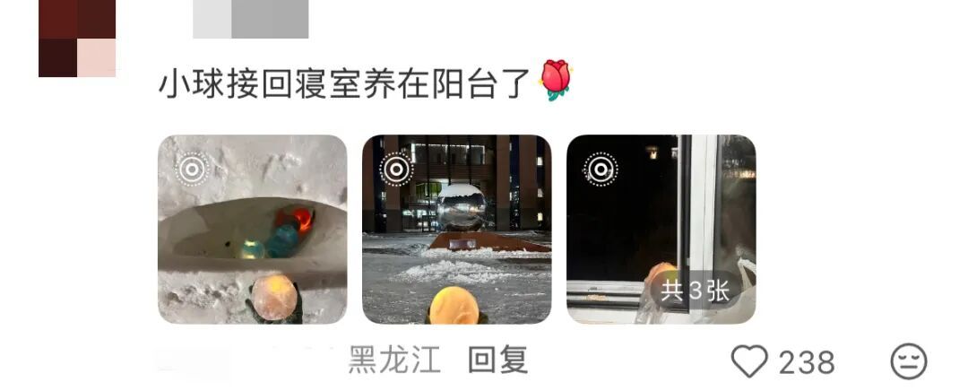 这饺子还是太超前了……“不好意思，从哪里开始是饺子？”