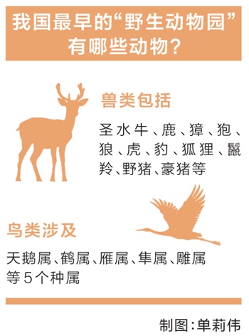 3000多年前商代的“野生动物园”，养了哪些珍禽异兽？