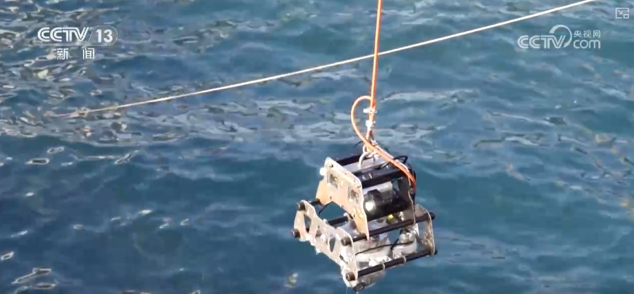 “智慧化养殖+保姆式服务”加速丰盈“蓝色粮仓” 海洋经济释放强劲动能