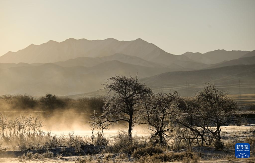 青海祁连：日出映雾凇