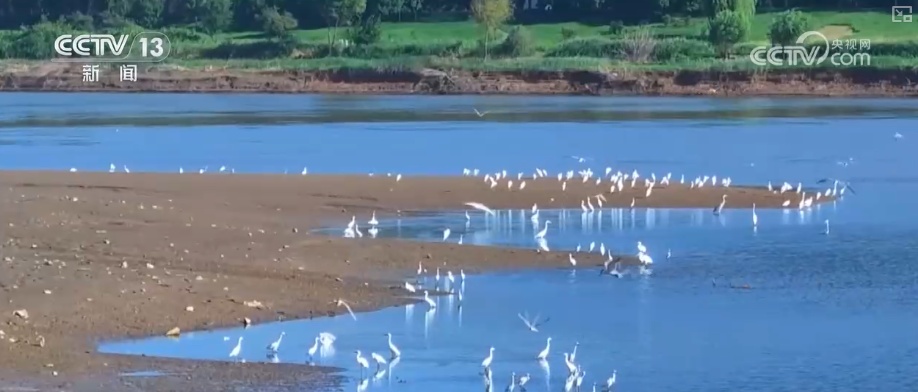 多维度“数”说新成效 夯实水安全保障基础 永续惠泽子孙后代