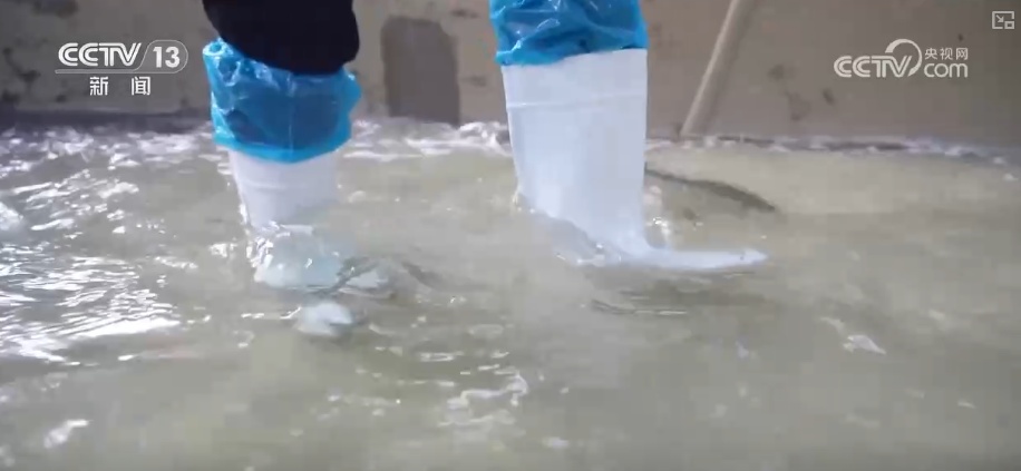 “智慧化养殖+保姆式服务”加速丰盈“蓝色粮仓” 海洋经济释放强劲动能