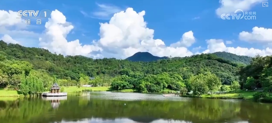 开好局、起好步“数”里行间感知信心 多领域亮眼表现积聚发展澎湃动能