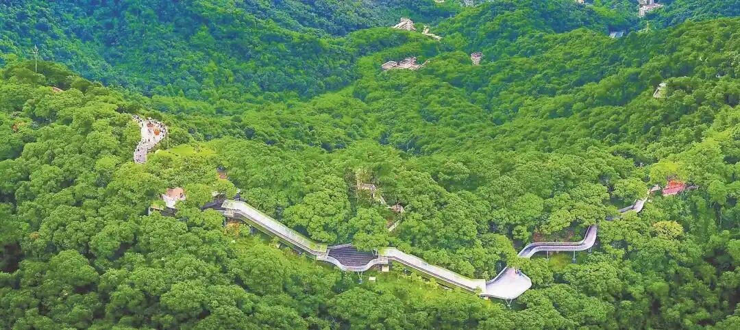 一线串三山！广州140公里森林步道下月全面竣工开放